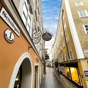 Elefant Family Business Salzburgo